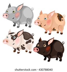 Set Pigs Various Breeds Vector Illustration Stock Vector (Royalty Free ...