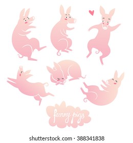 set of pigs. vector illustration