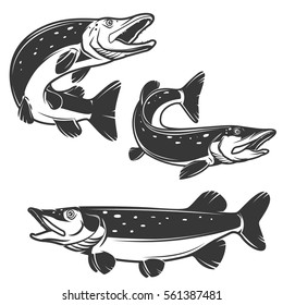 Set of pike fish icons isolated on white background. Design elements for logo, label, emblem, sign, brand mark. Vector illustration.