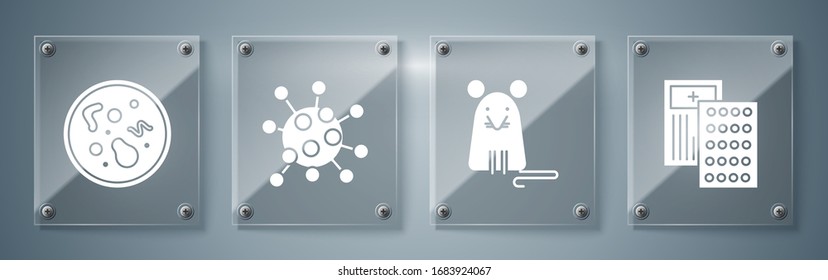 Colocar pastillas en blíster, Rata, Bacterias y Bacterias. Paneles de vidrio cuadrado. Vector