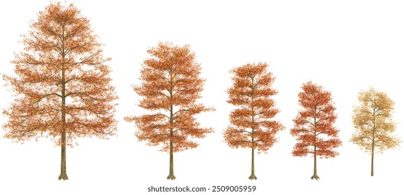conjunto de plantas de carvalho Pin renderizado para, ilustração 3D, para composição digital, ilustração, planos 2D, visualização de arquitetura