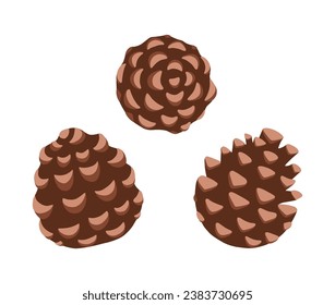 Set of pine cone. Hand-drawn colored flat vector illustration isolated on white background.