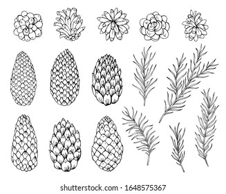 Pine Needles Drawing Images Stock Photos Vectors Shutterstock