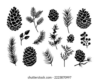 Set of pine cones and firs. Collection of Christmas cones on branches. Botany. Vector illustration for greeting cards.