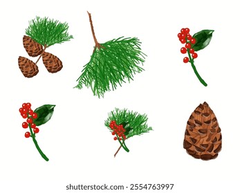 set of pine cones isolated on white