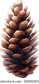 Set of pine cones isolated on white background. Hand painted watercolor. Botanical hand drawn  illustration vector Cones of coniferous trees, forest elements
