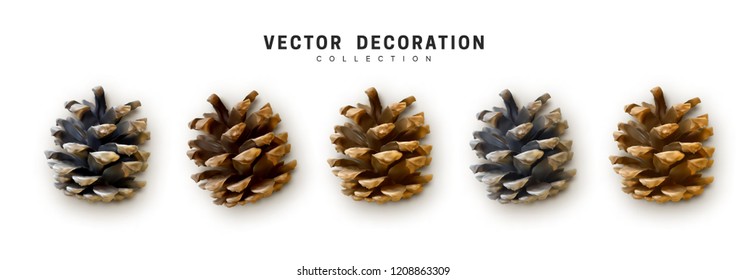 Set of Pine cones, spruce cone and coniferous. Realistic 3d design. vector illustration