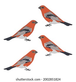 Set of the pine grosbeak an outline for colouring with cartoon eyes