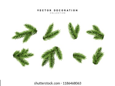 Set of pine spruce green branches. Christmas decorative elements in realistic design. vector illustration