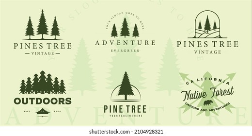 conjunto de diseño gráfico de la plantilla de ilustración vintage del logotipo del árbol de pino. colección de paquetes de varios pinos de plantas retro con tipografía