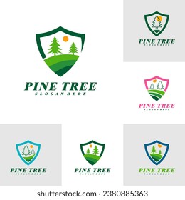 Set of Pine Tree with Shield logo design vector. Creative Pine Tree logo concepts template