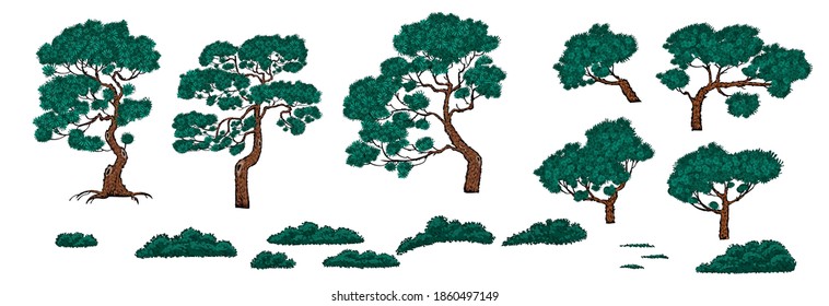 Set of pine trees and bushes in chinese style