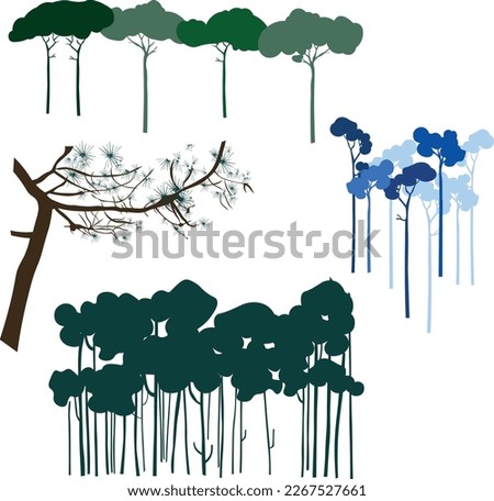 Set of pine trees with different dispositions and shapes 