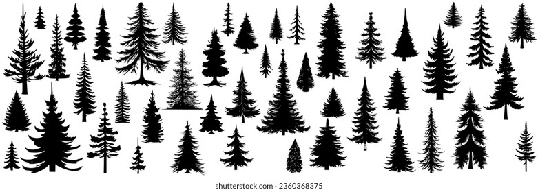 Set of pine trees silhouette. Hand drawn silhouette of fir tree. Large collection of Christmas tree silhouette. Vector illustration