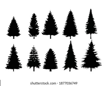 Set of Pine Trees Silhouette Isolated on a white background. Vector Illustration.