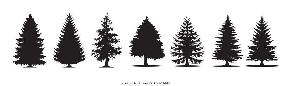 Set of pine trees silhouette isolated on white background. Seven wild nature trees templates in Black