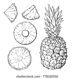 Set of pineapple in black and white colors, line art style, slices of pine apple, vector illustration isolated on white background, can be used for some coloring book