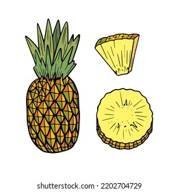 Set of pineapple elements. Illustration of Slice, piece, whole pineapple isolated on white background
