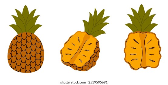 Set of pineapple fruit. Whole tropical fruit, half top view and side view