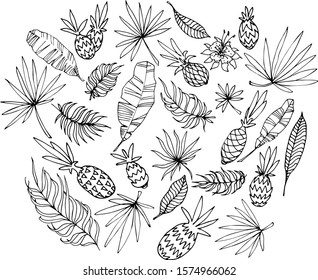 set of pineapple fruits with palm leaves, simple doodles, for floral pattern, vector illustration with black contour lines isolated on white background in hand drawn style