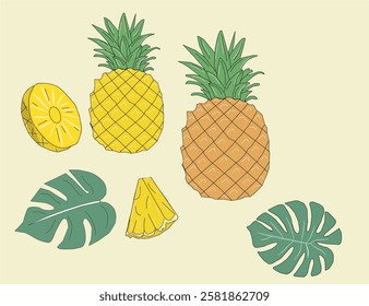 Set of pineapple fruits. Pineapple vector. Whole pineapple with leaves and pineapple slices and a half. 