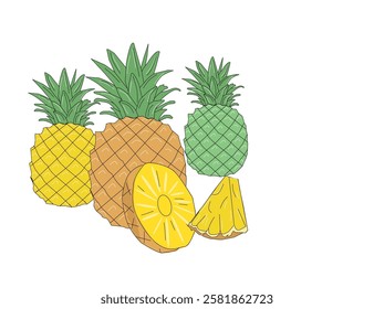 Set of pineapple fruits. Pineapple vector. Whole pineapple with leaves and pineapple slices and a half. 