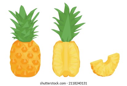 set pineapple isolated on white background. whole pineapple, cut, slice. half a pineapple. Ananas. geometric style. flat vector.