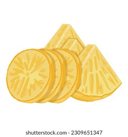 Set of pineapple isolated on white background leaves vector element. Set of whole, cut in half, sliced on pieces 