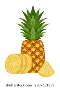 Set of pineapple isolated on white background leaves vector element. Set of whole, cut in half, sliced on pieces 