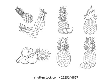 Ananas-Reihe auf weißem Hintergrund gezeichnet, mit vollem und halbem Ananas, handskizzierte Frucht