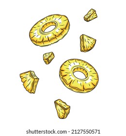 Conjunto de rodajas de piña aisladas sobre fondo blanco. Ilustración vectorial para afiche decorativo, emblema producto natural. Concepto para el mercado de los agricultores. Perfecto para el diseño de envases de cosméticos y alimentos.
