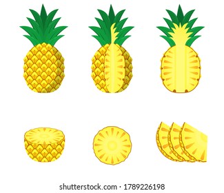 Set of Pineapple Vector Design. Flat Design Illustration.