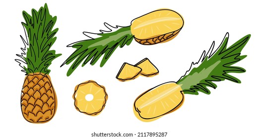 Set of pineapple whole and slice. Tropical product. Hand drawn or doodle style. Flat vector illustration