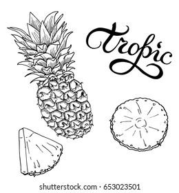 Set of pineapple, whole and slices. Cartoon ink sketch. Hand lettering. Hand drawn vector illustration.