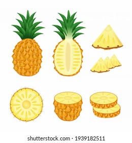 Set of pineapple whole and slices illustration vector