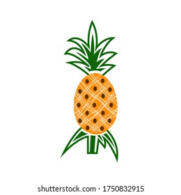 Set of pineapples. exotic fruit. Vector illustration logo