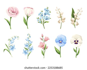 Satz rosafarbener, blauer und weißer Blumen (Panik, Nicht-Vergesst, Limanthus, Lilie des Tals und Hairebells) einzeln auf weißem Hintergrund. Vektorgrafik