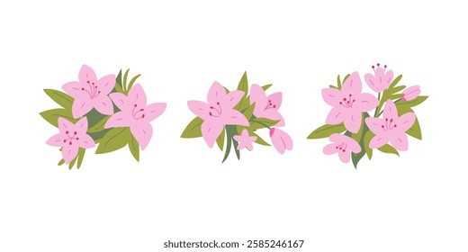 Set of pink bouquets of azalea flowers and leaves on isolated background. Vector flat botanical rhododendron illustrations