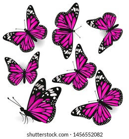 Set of pink butterflies. Isolates on a white background. Vector graphics.