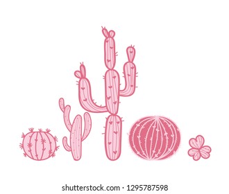 Set of Pink Cactus and Succulent Plants collection with many details. White background. Vector illusyration.