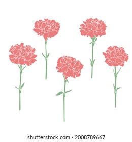 Set of pink carnations isolated on white background. Mosaic. Vector illustration.