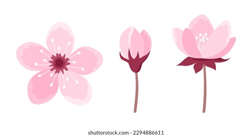 Satz rosafarbener Kirschbaumblumen einzeln auf weißem Hintergrund. Sakura blüht Design-Elemente. Vektorgrafik in Flachstil