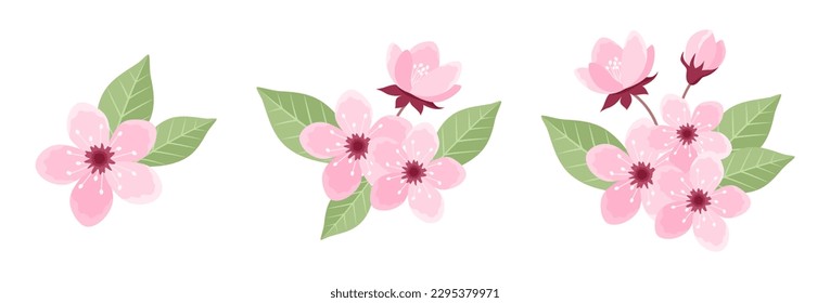 Set of pink cherry tree inflorescences with flowers, buds and leaves isolated on white background. Sakura blossom design elements. Vector illustration in flat style