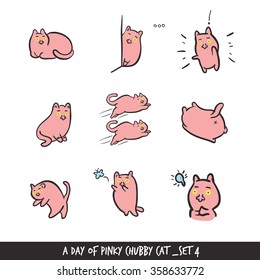 set of pink chubby cat
