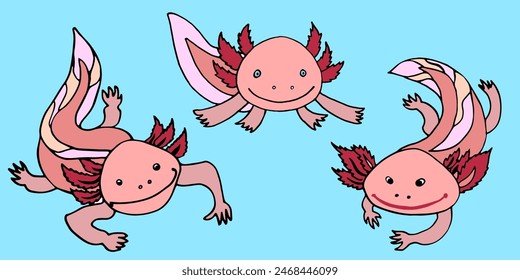 set of pink and cute axolotls in cartoon style vector images on a blue background