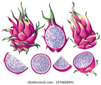 Set of pink dragon fruits (Pitaya) elements. Whole fruit, half and pieces. Vector illustration, realistic style. Exotic elements for summer background, patterns, wallpapers, fabric, wrapping paper. 