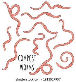 Set of pink earthworms. Worms for vermicomposting. Farming and agriculture. Hand drawn vector illustration.