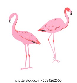 Set of pink flamingo in minimalistic style. Vector illustration.