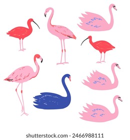 Set of pink flamingo and swans and red ibis in minimalistic style. Vector illustration.