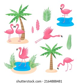 Conjunto de flamencos rosas con diferentes posturas